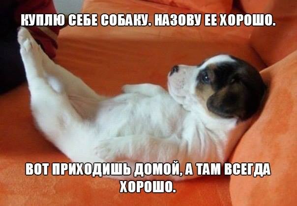 Пусть всегда дома будет Хорошо