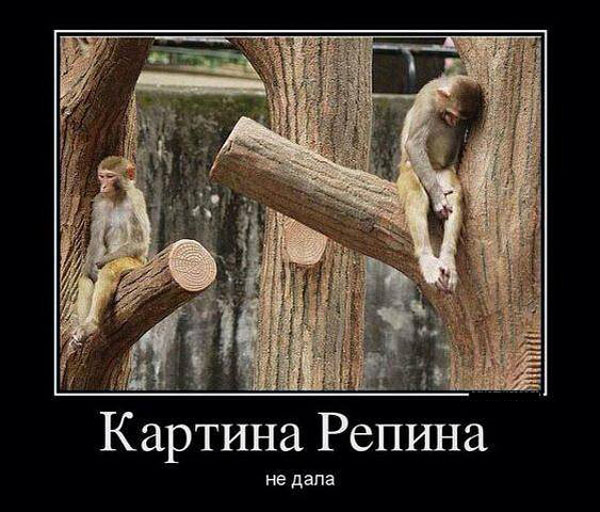 ТОП лучших демотиваторов