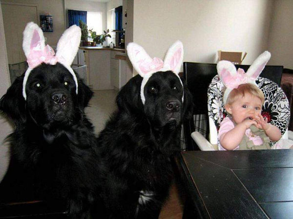 Малыши с ушками. Мимимишные фото