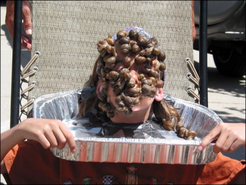 Фото - приколы