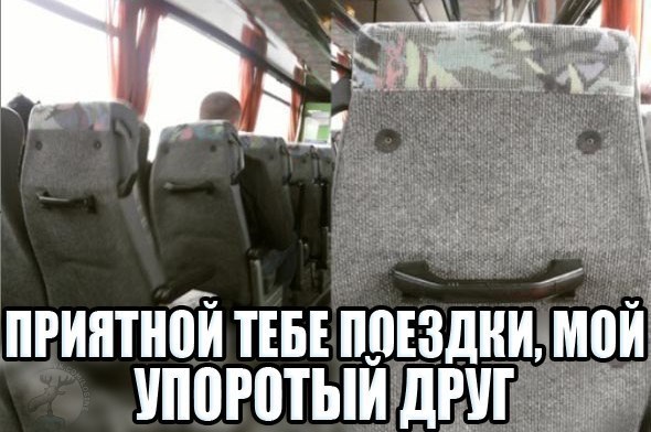 Доброе утро, мой упоротый друг