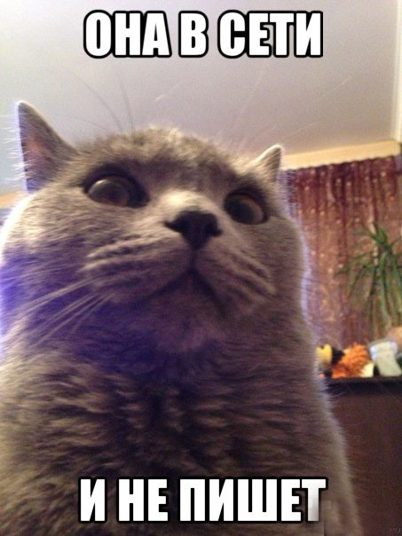 Подборка мемов с няшкей и перепиской