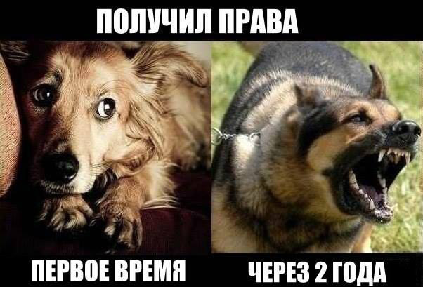 Ожидание и реальность