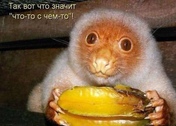 Милое фото чего-то с чем-то