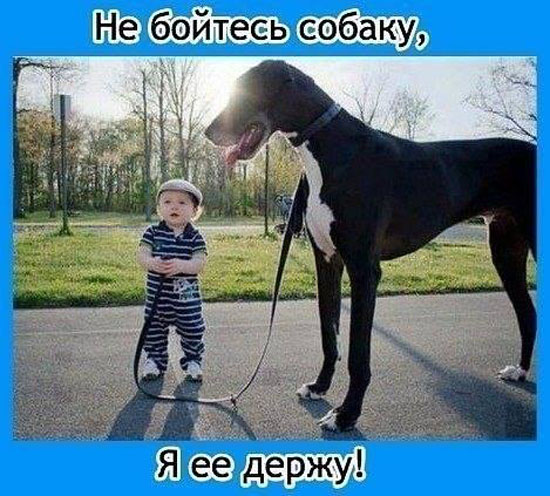 Милая фотка с няшками. Прикол