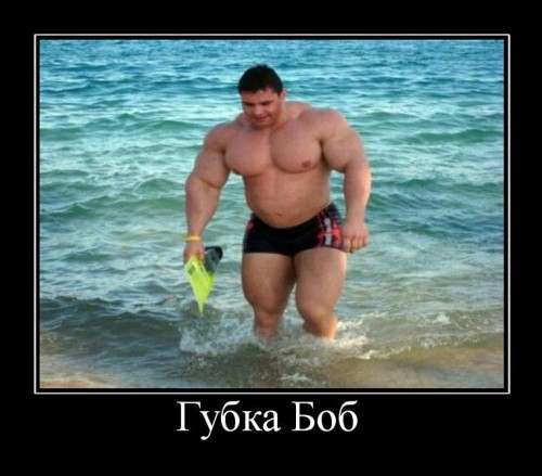 Свежие демотиваторы