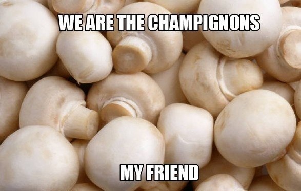 We are the champignons..