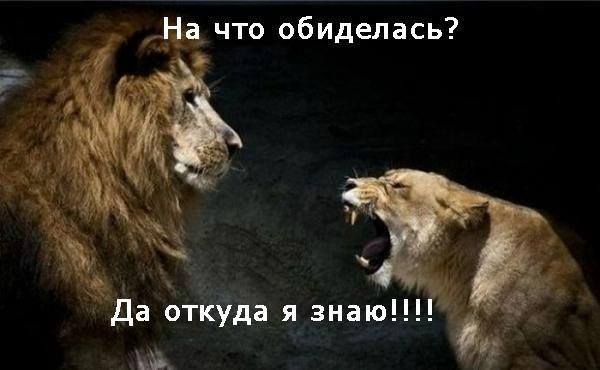 Няшная фотка с настоящей женщиной