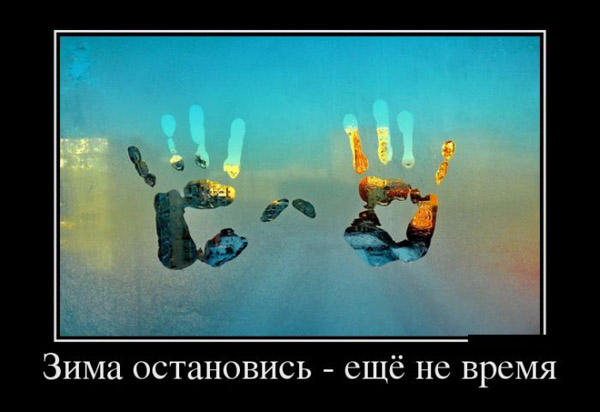 ТОП лучших приколов