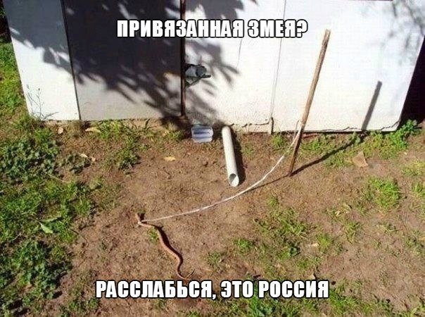 Это Россия, детка. Расслабься!