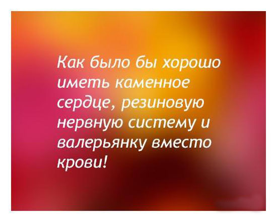 Прикольная подборка картинок с текстом
