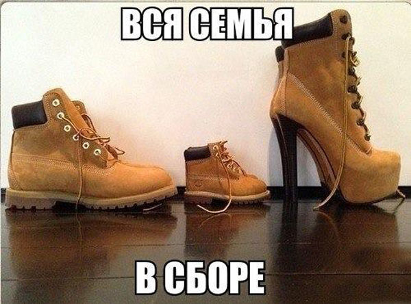 Картинка про модную семейку